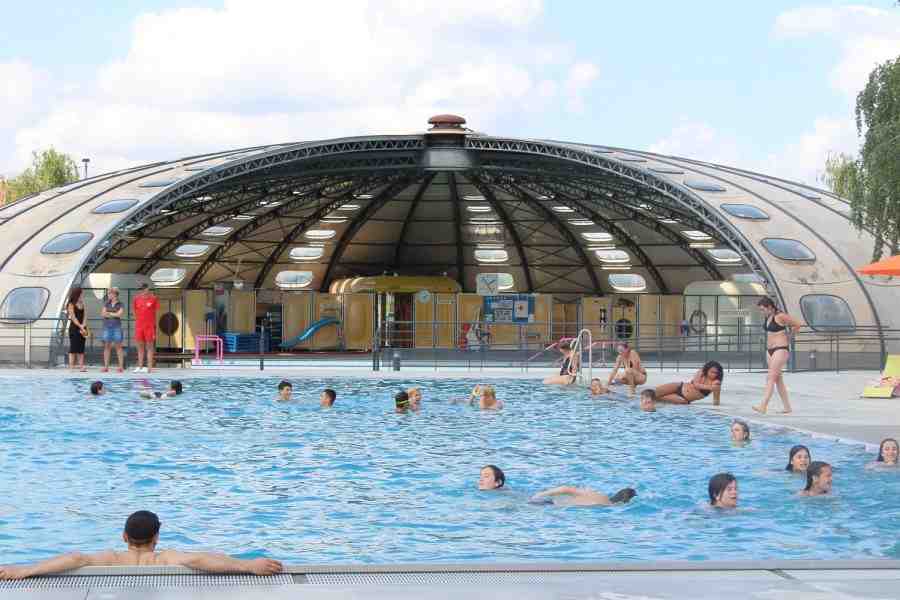 la, piscine, tournesol, restera